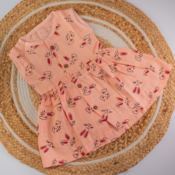 A Bunny  - Muslin  Frock